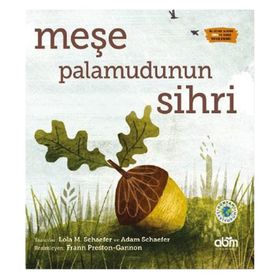 Abm Yayınevi Meşe Palamudunun Sihri Ciltli