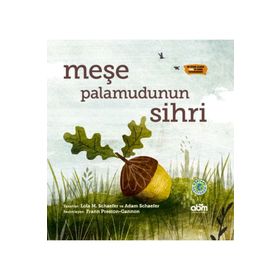Abm Yayınevi Meşe Palamudunun Sihri Ciltli