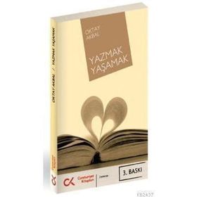 ACCESS 2002 ACCESS XP - İHSAN KARAGÜLLE; ZEYDIN PALA