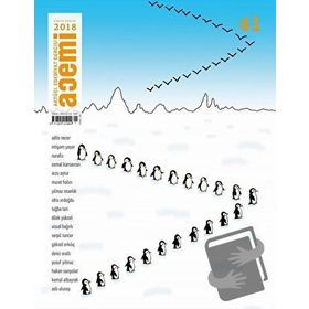Acemi Aktüel Edebiyat Dergisi Sayı: 41 - Kasım - Aralık 2018 - Kolektif