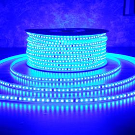 ACK 120 Ledli Mavi 220 V 10 W 100 m Şerit Led