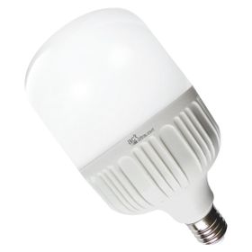 ACK 20W Günışığı Torch Led Ampul