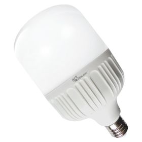 ACK 20W Günışığı Torch Led Ampul