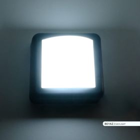 ACK 4W Led Duvar Apliği 6500K Beyaz Işık Siyah Kasa Dekoratif Duvar Armatür