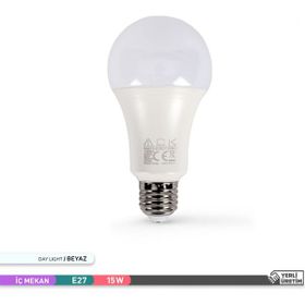 ACK AA13-01223 A70 6500K 12W Led Ampül