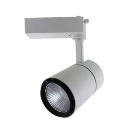 ACK AD30-01300 Cob 3000K Beyaz 30W Led Spot