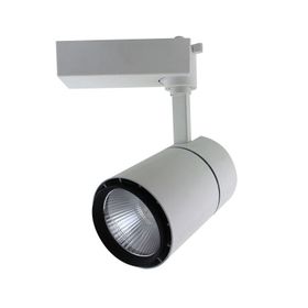 ACK AD30-01300 Cob 3000K Beyaz 30W Led Spot