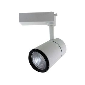 ACK AD30-01300 Cob 3000K Beyaz 30W Led Spot