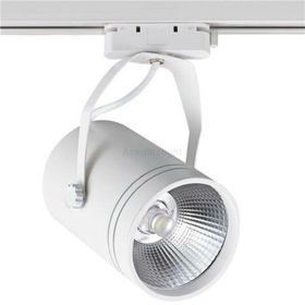 ACK AD30-01900 Cob 3000K Beyaz 30W Led Spot