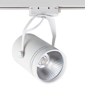 ACK AD30-01901 Siyah Cob Led Ray 30W 3000K Armatür