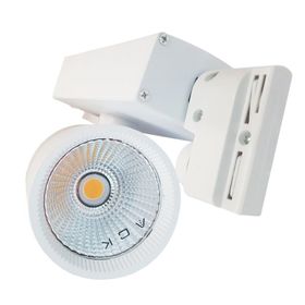 ACK AD30-04000 Cob 3000K Beyaz 30W Led Spot