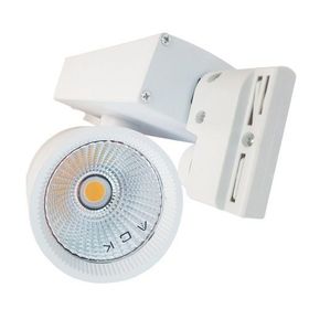 ACK AD30-04000 Cob 3000K Beyaz 30W Led Spot