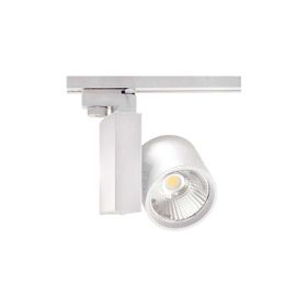 ACK AD30-04000 Cob 3000K Beyaz 30W Led Spot