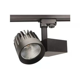ACK AD30-24611 4000K Ilık Beyaz 50 Watt Siyah Kasa Monofaze Cob Led Ray Spot Armatür