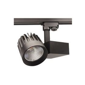 ACK AD30-24611 4000K Ilık Beyaz 50 Watt Siyah Kasa Monofaze Cob Led Ray Spot Armatür