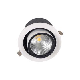 ACK AD36-00600 30W 3000K Beyaz Osram Cob Led Salyangoz Spot Armatür