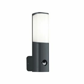 ACK AG43-01002 6W Tarus WLS 3000K Sensörlü Led Bahçe Apliği