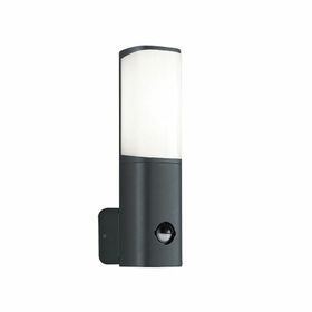 ACK AG43-01002 6W Tarus WLS 3000K Sensörlü Led Bahçe Apliği