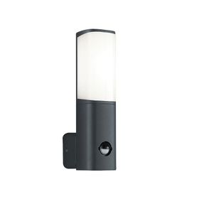 ACK AG43-01002 6W Tarus WLS 3000K Sensörlü Led Bahçe Apliği