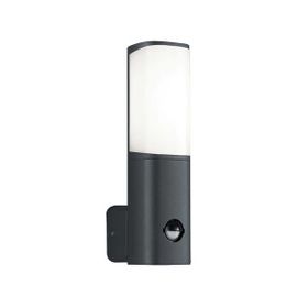 ACK AG43-01002 6W Tarus WLS 3000K Sensörlü Led Bahçe Apliği