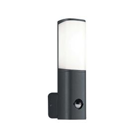 ACK AG43-01002 6W Tarus WLS 3000K Sensörlü Led Bahçe Apliği