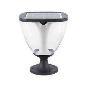 ACK AG60-09891 8W/h Ayarlanabilir Renk Solar Led Bahçe Armatürü