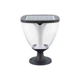ACK AG60-09891 8W/h Ayarlanabilir Renk Solar Led Bahçe Armatürü