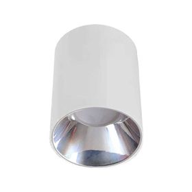 ACK AH03-08650 Platin Beyaz Kasa Yuvarlak Sıva Üstü Dekoratif Tavan Armatürü