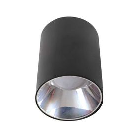 ACK AH03-08651 Platin Siyah Kasa Yuvarlak Sıva Üstü Dekoratif Tavan Armatürü