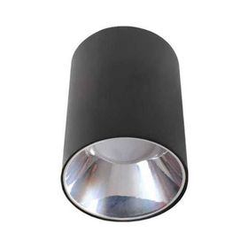 ACK AH03-08651 Platin Siyah Kasa Yuvarlak Sıva Üstü Dekoratif Tavan Armatürü