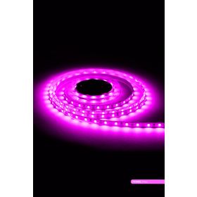 ACK AS01-00809 Pembe Işık 7W 4040 60 Şerit LED