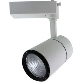 ACK Cob Led 3000 K 30 W Beyaz Kasa Gün Işığı Monofaze Ray Armatürü