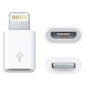 ACL ACPT-08 Mikro Lightning Şarj Aparatı
