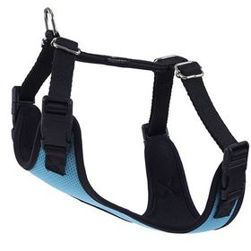 Actirex Neon Cool Mavi 40x45 cm Köpek Göğüs Tasması