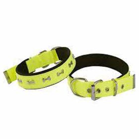 Actirex Neon Kemik Desenli Sarı 3x42-50 cm Köpek Boyun Tasması