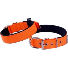 Actirex Orange Small 52 cm Neon Yumuşak Doku Köpek Boyun Tasma