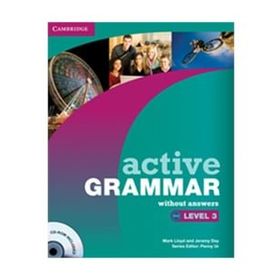 Active Grammar Level 3 without Answers and CD-ROM