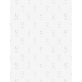 Adawall Adakids Looney Tunes Duvar Kağıdı