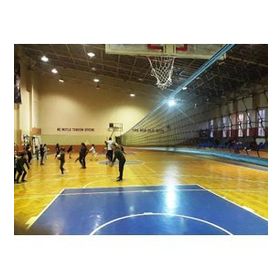 Adelinspor Premium 20 m Voleybol Filesi