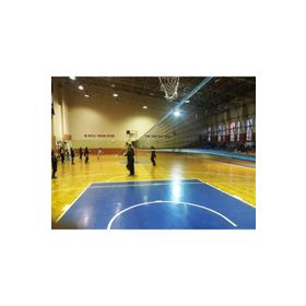 Adelinspor Silver 50,00 m Voleybol Filesi