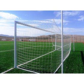 Adelinspor Silver 7,32x2,44x2,0 m 3 mm Futbol Kale Filesi