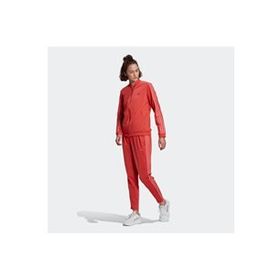 Adidas DT9340 W Adidas W.N.D. Kadın Eşofman Altı