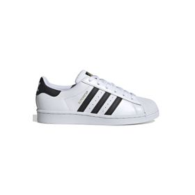 Adidas FV3284 Superstar Beyaz Kadın Spor Ayakkabı