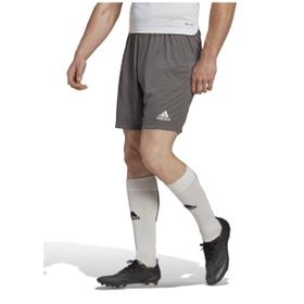 Adidas H57505 Ent22 Sho Normal Bel Düz Gri Erkek Şort