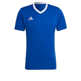 Adidas HG6283 Mavi CON22 JSY Erkek Forma