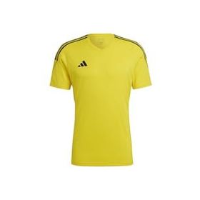 Adidas HR4609 Sarı Erkek Futbol Forması