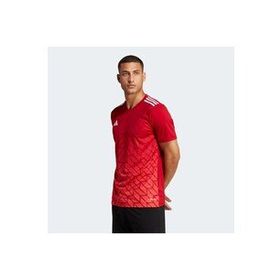 Adidas HT6551 Erkek T-shirt