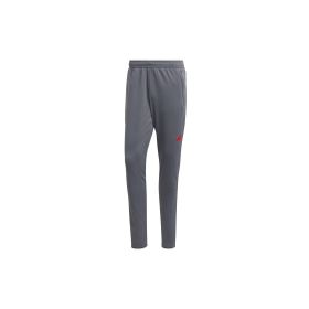 Adidas IJ9610 TR ES Gri Erkek Eşofman Altı