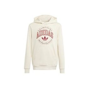 Adidas IN0623 Krem Hoodie Günlük Çocuk Sweatshirt