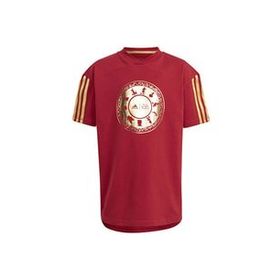 Adidas IN7306 Kırmızı LK DY 100 T Günlük Çocuk T-shirt